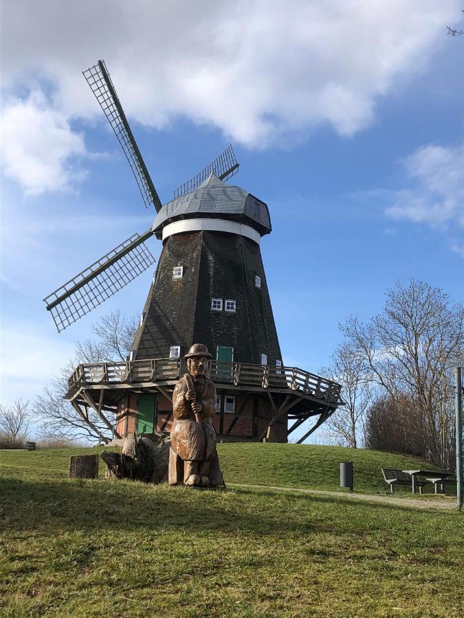 Ostseewind - In Der Strandstrasse-Fuehrt Zur Seebruecke Ostseebad Kühlungsborn エクステリア 写真